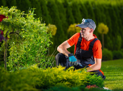 Entretien des espaces verts